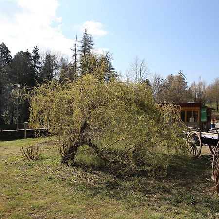 Willa Le Veymont Saint-Martin-en-Vercors Zewnętrze zdjęcie
