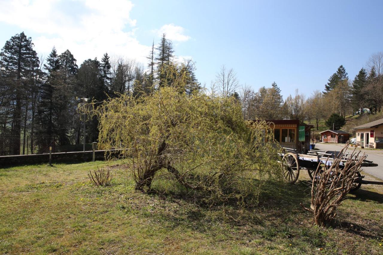 Willa Le Veymont Saint-Martin-en-Vercors Zewnętrze zdjęcie
